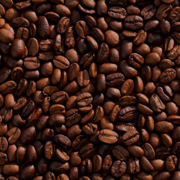 Café SUMATRA (INDONESIA)